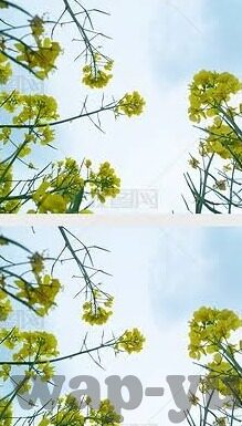 今天世界杯尼日利亚-今天，尼日利亚在世界杯舞台上的闪耀