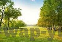 足球比分截图预测-揭秘足球比分截图预测，是玄学还是科学？一场数据与直觉的博弈